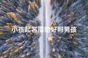 小孩起名周皓好吗男孩
