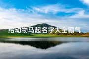给动物马起名字大全霸气(属马的宝宝起名字适宜的字)