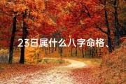 23日属什么八字命格、揭秘23日出生者的八字命格奥秘