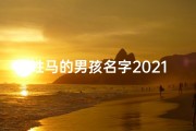姓马的男孩名字2021两个字,《马姓宝宝，寓意吉祥，名字精选》