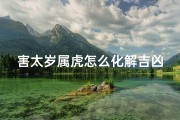 害太岁属虎怎么化解吉凶呢、《属虎害太岁如何化解吉凶：巧用方法避灾星》