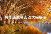 母婴店取名吉凶大揭秘专业测试助您选好名