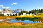 属龙佩戴什么财运更旺—属龙佩戴何物招好运？