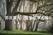 苏氏育儿：宝宝名字大揭秘，创意无限