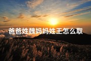 爸爸姓魏妈妈姓王怎么取名字_《魏王玉：男宝宝名字，玉质王气，好听非凡》