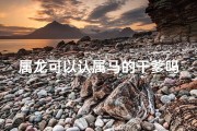 属龙可以认属马的干爹吗—属龙认属马干爹，奇妙缘分新篇章