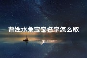 曹姓水兔宝宝名字怎么取、曹姓水兔宝宝，灵动如泉，吉祥如意之名