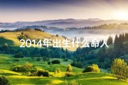 2014年出生什么命人;2014年出生宝宝命格揭秘：运势解析大揭秘