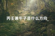丙壬兼午子是什么方向_《丙壬兼子午十二水口：揭秘吉凶奥秘》