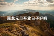 属龙元旦开业日子好吗