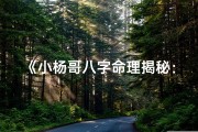 《小杨哥八字命理揭秘：命运轨迹深度解析》