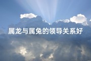 属龙与属兔的领导关系好吗、龙兔领导关系：和谐共进之道