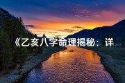 《乙亥八字命理揭秘：详解人生运势宝典》