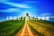 《甲辰日丁酉月八字命理深度解析》