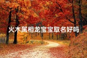 火木属相龙宝宝取名好吗