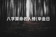 八字算命名人榜(辛金日元大富的八字,名人的八字都有哪些特点)