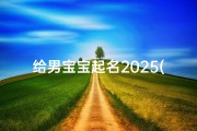 给男宝宝起名2025(2025牛宝宝男孩子取名字起名取名)