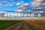 男生取名苏宁好不好—苏宁宝宝：快乐成长，苏宁未来之星