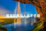 属龙和属马人合不合婚