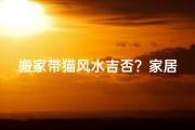 搬家带猫风水吉否？家居布局指南