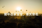 猪年岳家宝宝，喜庆命名大揭晓