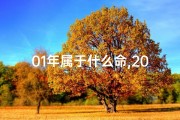 01年属于什么命,2001年属羊的人命运解析：揭秘羊年生肖的命格特质