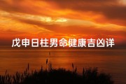 戊申日柱男命健康吉凶详解-戊申日柱男命对待妻子