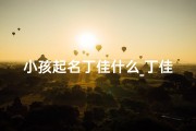 小孩起名丁佳什么_丁佳琪名字怎么样