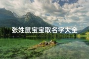 张姓鼠宝宝取名字大全