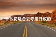 什么花适合去寺庙开放的