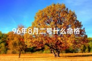 96年8月二号什么命格,96年8月2日命格揭秘：探寻独特命运轨迹