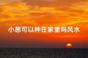 小葱可以种在家里吗风水