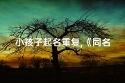 小孩子起名重复,《同名小英雄：揭秘重复名字里的奇妙故事》