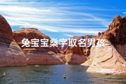 兔宝宝燊字取名男孩