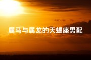 属马与属龙的天蝎座男配吗