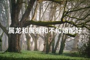 属龙和属猴和不和婚配好;属龙属猴婚配佳缘：和谐共舞，幸福长久