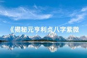 《揭秘元亨利贞八字紫微命盘：命运轨迹深度解析》
