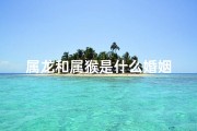 属龙和属猴是什么婚姻