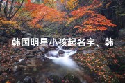 韩国明星小孩起名字、韩国明星小孩起名字大全