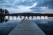 男宝宝名字大全沈姓鸡年、男宝宝姓沈,取名字