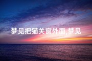梦见把猫关窗外面,梦见把猫关窗外面什么意思
