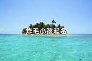 炸毛小孩起名