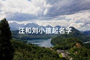 汪和刘小孩起名字