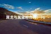 属龙与属猪相合吗：76年龙与83年猪的缘分解析
