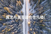 属龙与属羊适合住几楼(属龙与属羊适合住几楼好)
