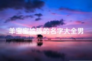 羊宝宝姓陈的名字大全男孩_《陈家羊宝宝：男孩名字大全精选》