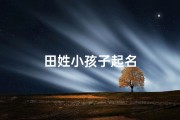 田姓小孩子起名