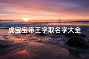 虎宝宝带王字取名字大全(王字旁的字男孩取名属虎830个,王字旁男宝名字大全)