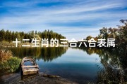 十二生肖的三合六合表属牛(十二生肖三合六合表)