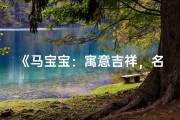 《马宝宝：寓意吉祥，名字好否？》